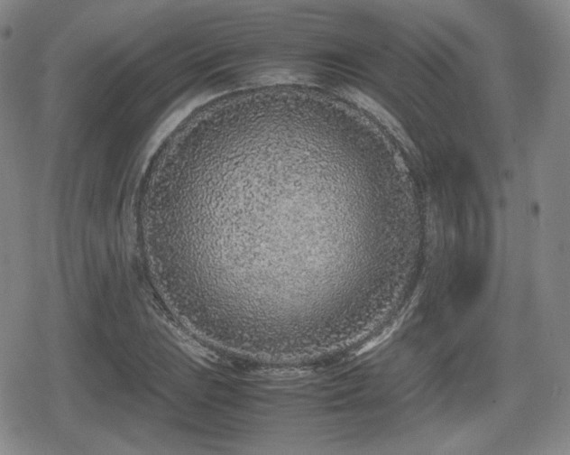 X0000080711023200612151128