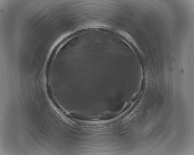 X0000080711024200612151128