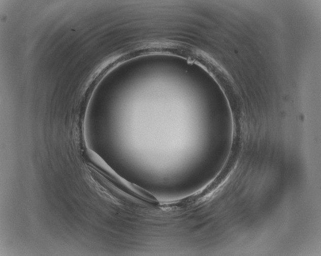 X0000080711025200612151128