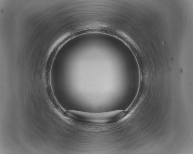 X0000080711026200612151128