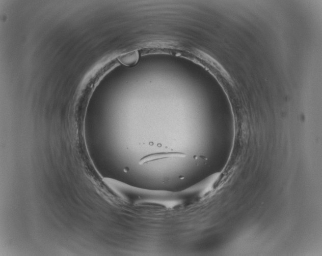 X0000080711027200612151128