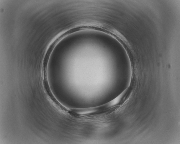 X0000080711028200612151128