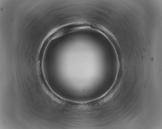 X0000080711029200612151128