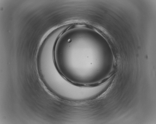 X0000080711030200612151128