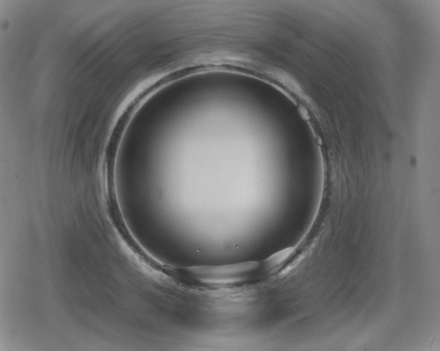 X0000080711032200612151129