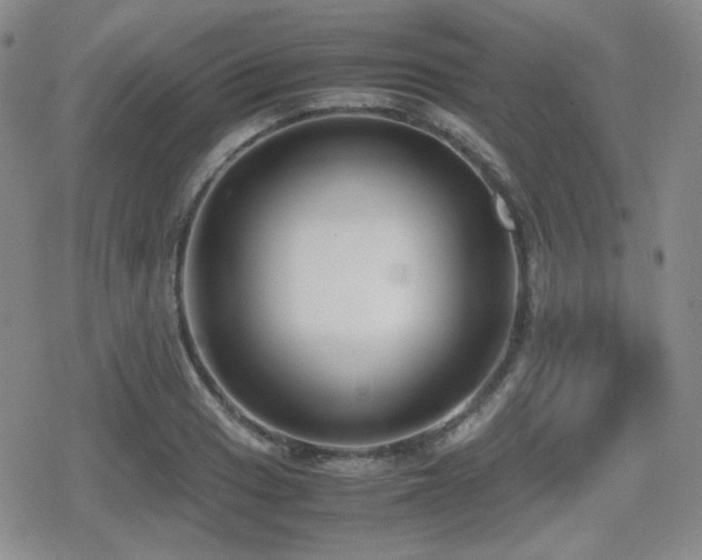 X0000080711033200612151129