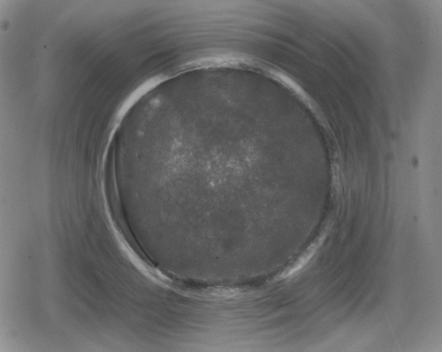 X0000080711034200612151129