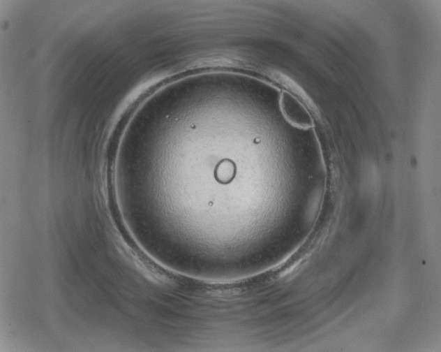 X0000080711035200612151129