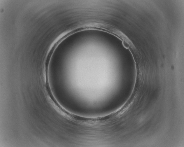 X0000080711036200612151129