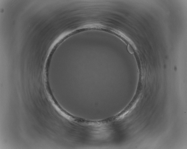 X0000080711037200612151129