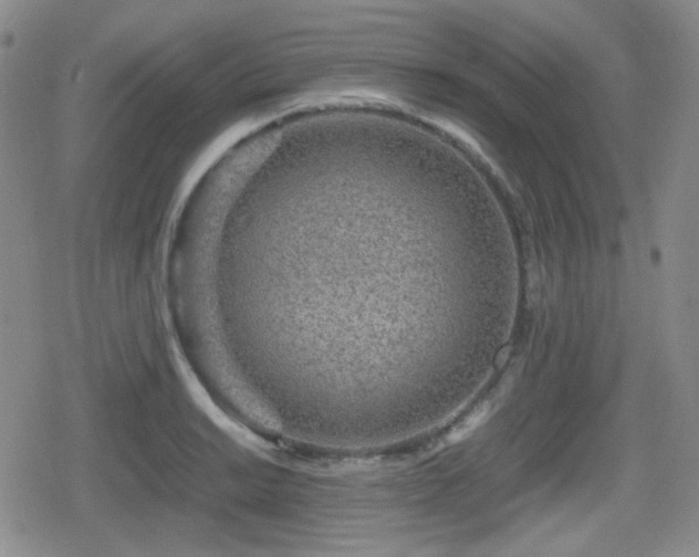 X0000080711038200612151129