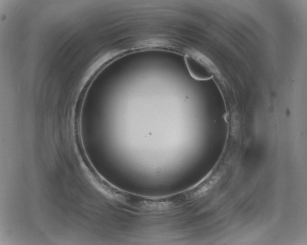 X0000080711039200612151129