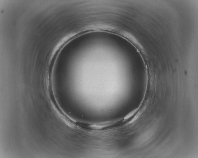 X0000080711040200612151129