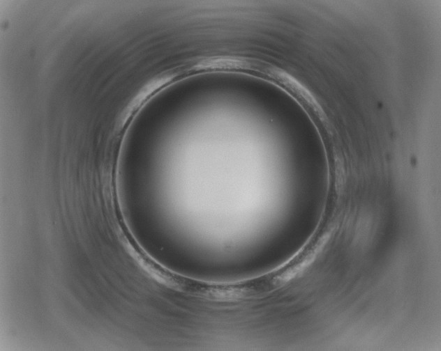 X0000080711041200612151129