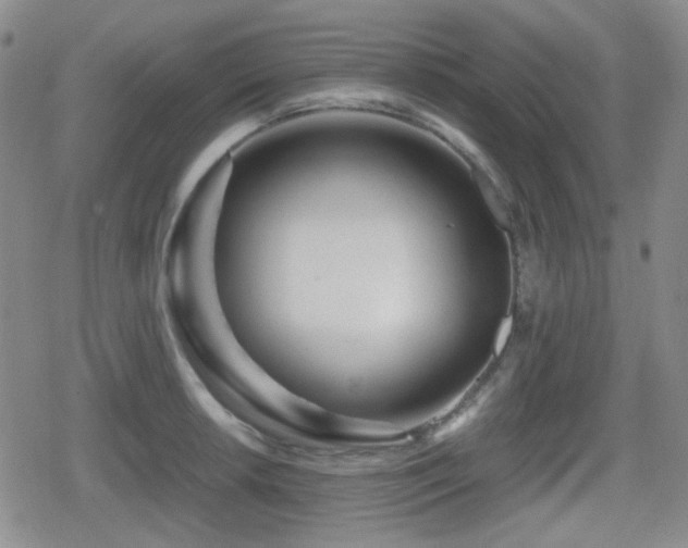 X0000080711042200612151129