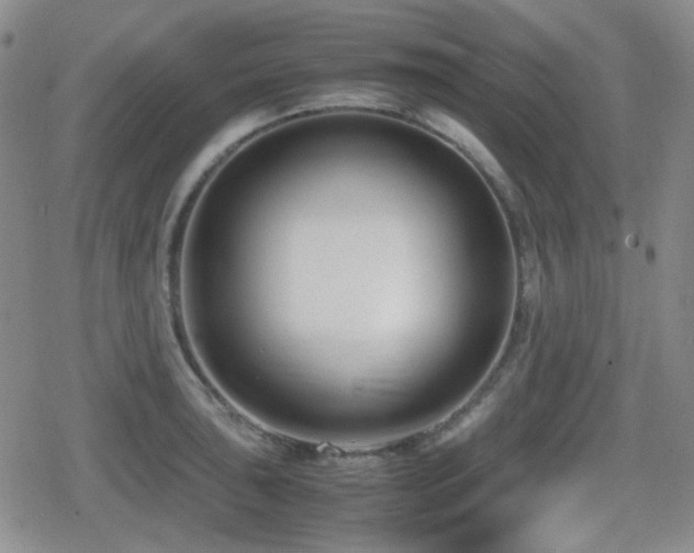 X0000080711043200612151129