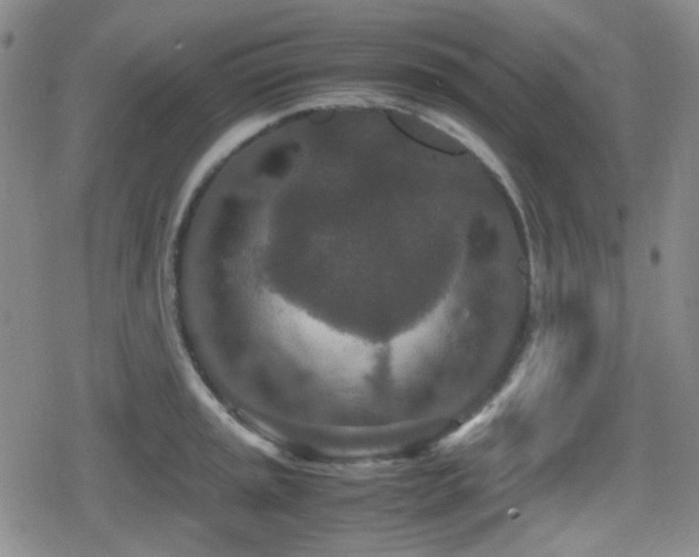 X0000080711045200612151129