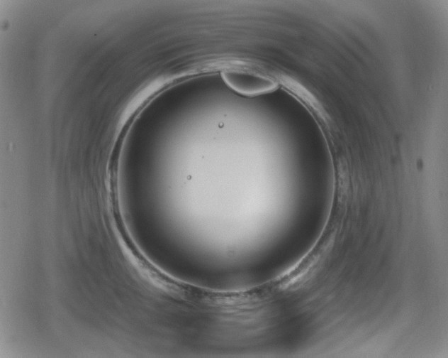 X0000080711047200612151129