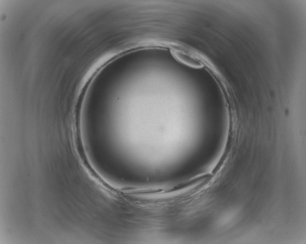 X0000080711048200612151129