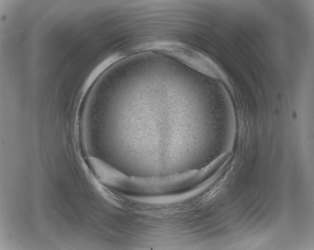 X0000080711050200612151129