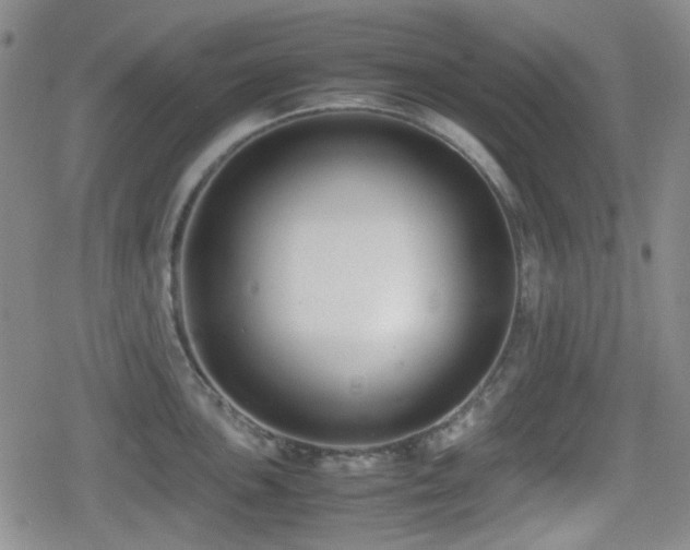 X0000080711051200612151129