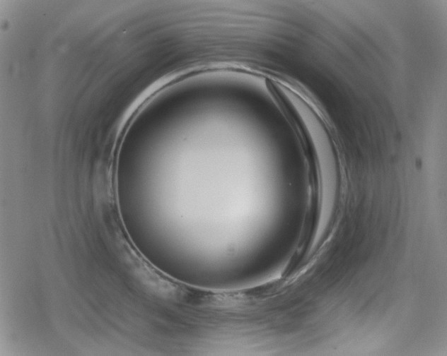 X0000080711052200612151129