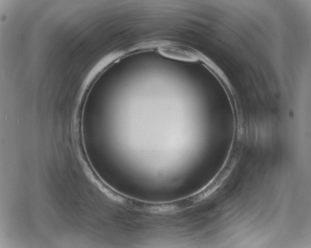 X0000080711053200612151129