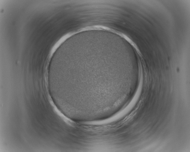 X0000080711054200612151129