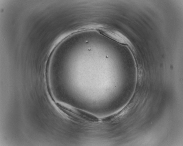 X0000080711055200612151129