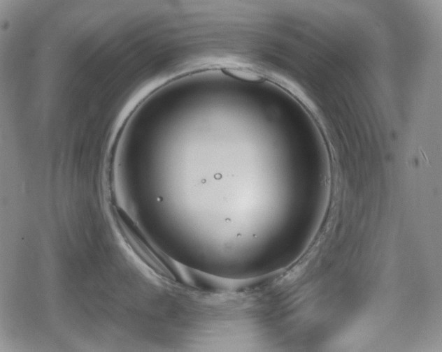 X0000080711056200612151129