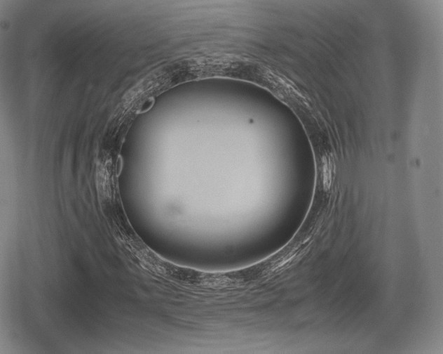 X0000080711059200612151128