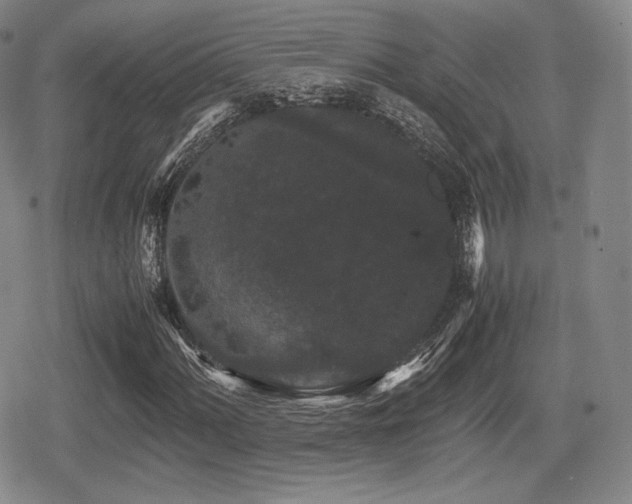 X0000080711060200612151128