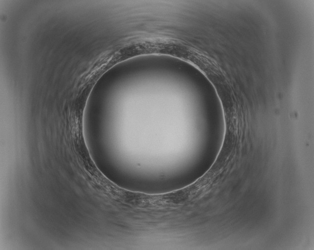 X0000080711061200612151128