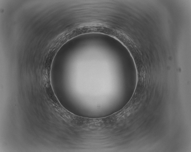 X0000080711062200612151128