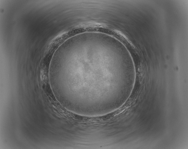 X0000080711063200612151128