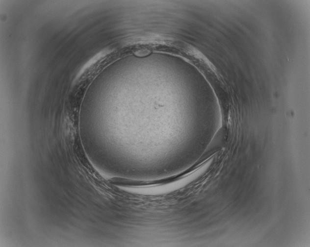 X0000080711064200612151128