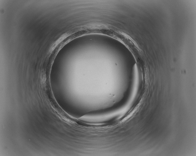 X0000080711065200612151128