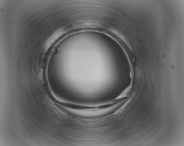 X0000080711066200612151128