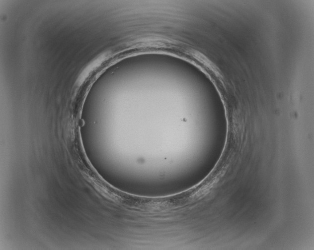 X0000080711067200612151128