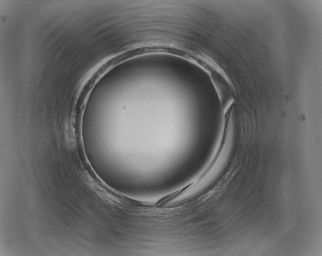 X0000080711068200612151128