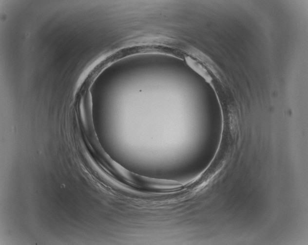 X0000080711069200612151128