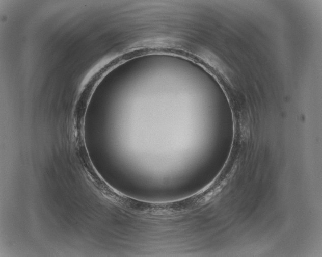 X0000080711070200612151128