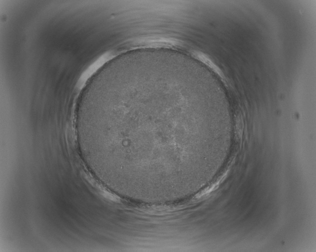 X0000080711071200612151128