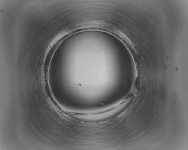 X0000080711072200612151128