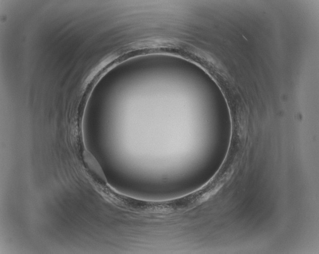 X0000080711073200612151128