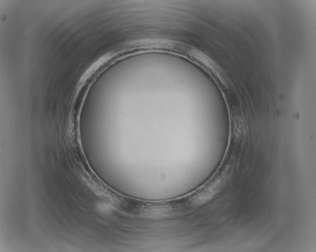 X0000080711074200612151128