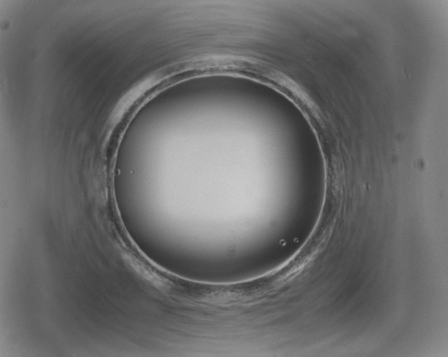 X0000080711075200612151128