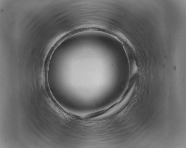 X0000080711076200612151128