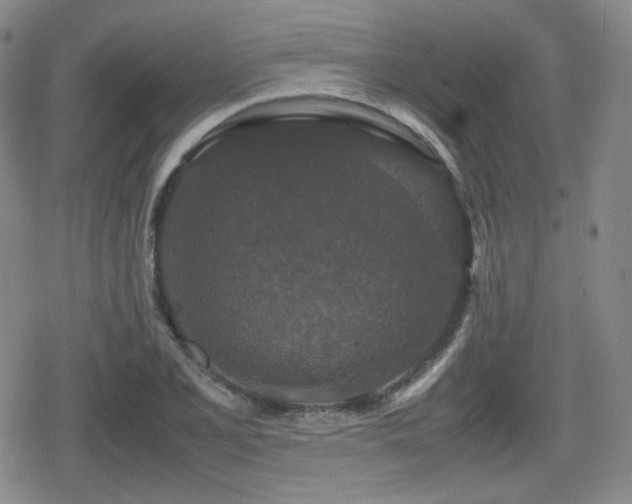 X0000080711077200612151128