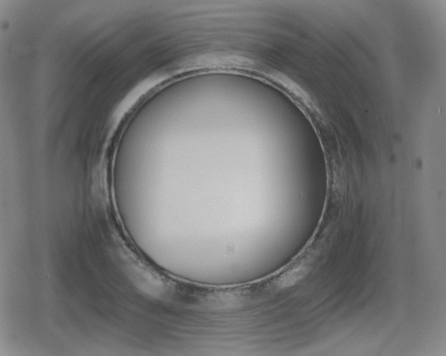 X0000080711078200612151128